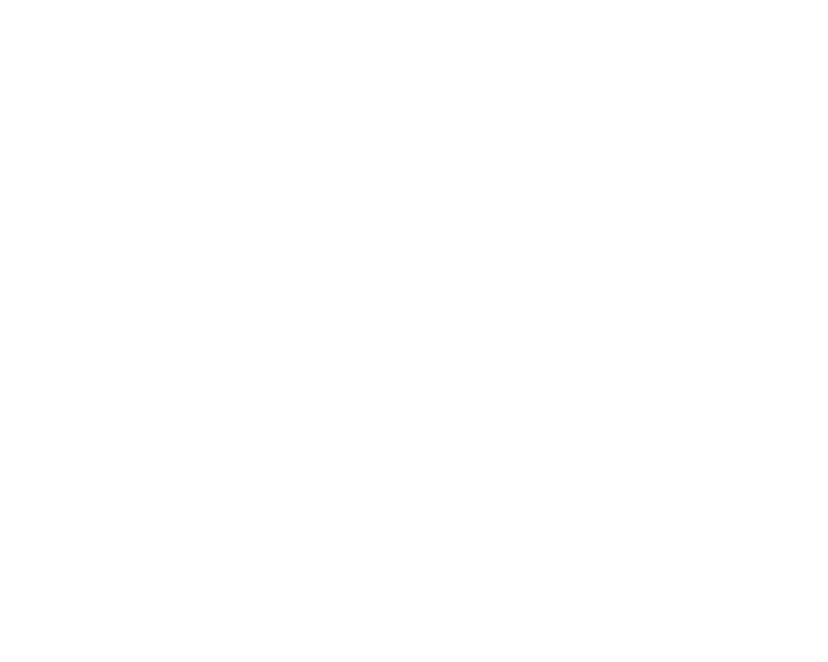 The Linsey and Leake Team